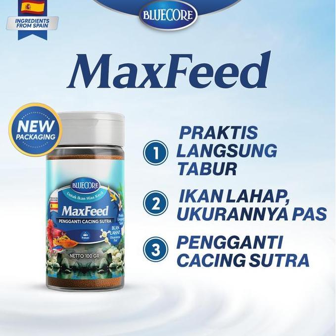 Afterday- Bluecore Maxfeed Pakan Burayak Ikan Penghemat Cacing Sutera Untuk Penggemuk Ikan Dan Peran