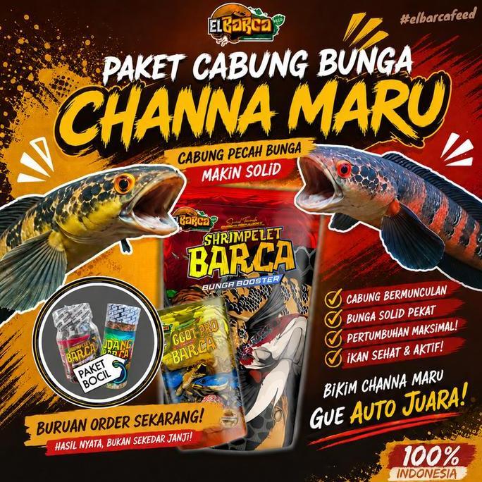 Afterday- Paket Pakan Progress Bunga Channa MaruYs Red Pemecah Cabung & Bunga Solid Xtra Melanin Gua