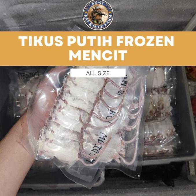 Multijoana - Tikus Asf African Soft Fur - Frozen-Pakan Hewan Reptil Ball Phyton - Pinkies/Pinkbul/Ju