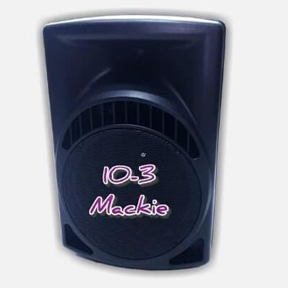 BOX SPEAKER 10 INCH PVC 10-3 MACKIE