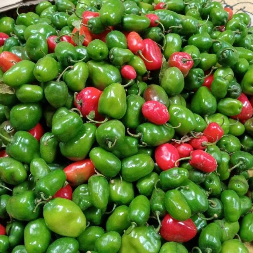 , ( 20 Biji ) Benih Cabe Gendot | Cabe Setan Gendot | Cabe Gendot | Cabe Pedas ,