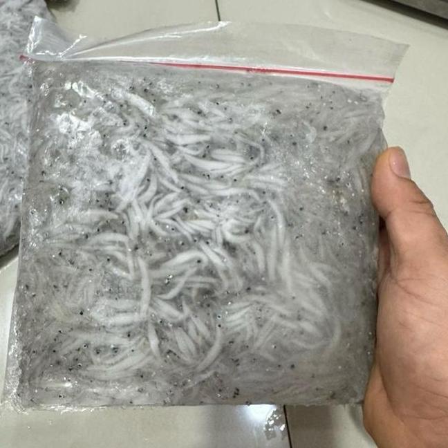 Ikan Teri Basah Teri Basah Mpasi Ikan Teri Basah Segar Fresh Kemasan Gram