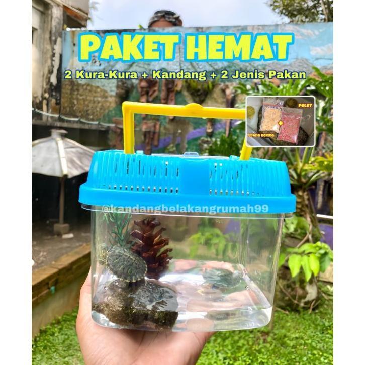Paket Kura-Kura Kandang Kura-Kura Aquarium Kura-Kura Paket Terarium Kura-Kura Murah Pakan Kura-Kura 