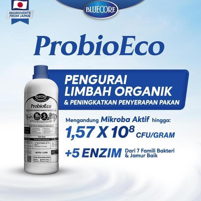 BLUECORE PROBIOECO PROBIOTIK IKAN UNTUK IKAN LELE, IKAN NILA, GURAME