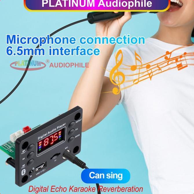 Gerr- Modul Mp3 Amplifier 50W Bluetooth Karaoke Microphone Echo 136Bt