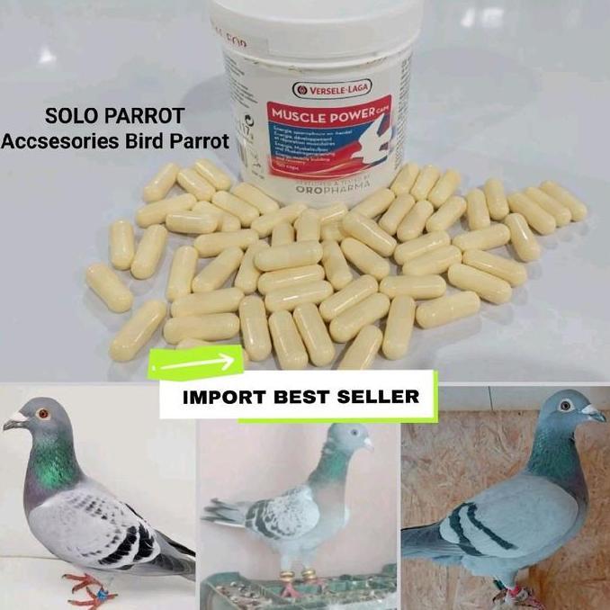 (:(:(:(] MUSCLE POWER CAPS Versele Laga untuk Burung Merpati