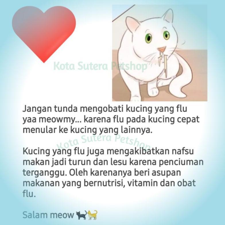 Bestseller Obat Flu Kucing Racikan (Flu Berat) 1 Set - Obat Flu Kucing Ampuh  Untuk Flu Berat. Obat 