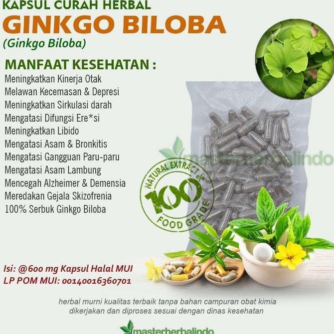 Ginkgo Biloba Kapsul Curah Herbal Daya Ingat Fokus Otak Anti Aging Alami Stamina Tubuh ASLI