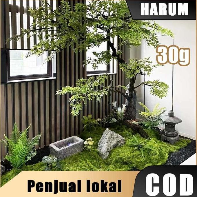 MUZACIO 30g Artificial Moss Moss Sintetis Moss Artificial Sintetis Premium Murah Lumut Abadi Dekoras