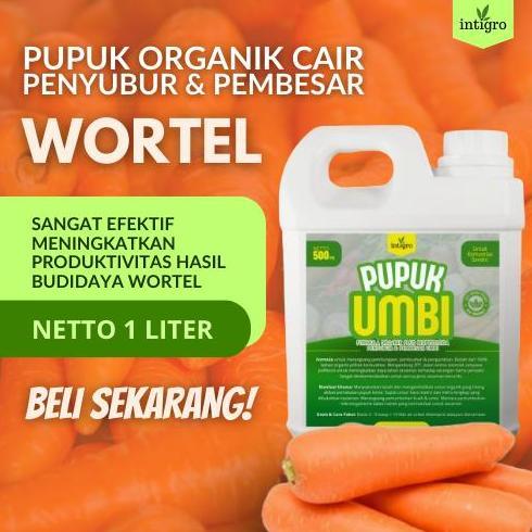 Pupuk Booster Pembesar Umbi Bawang Merah Penyubur Kentang Singkong Ubi Jalar Bengkoang Talas Wortel 