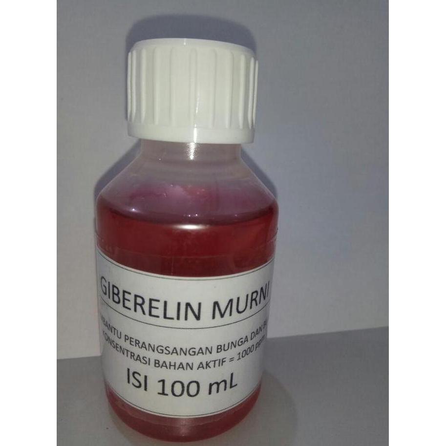 Tamtom- Hormon Tanaman Giberelin