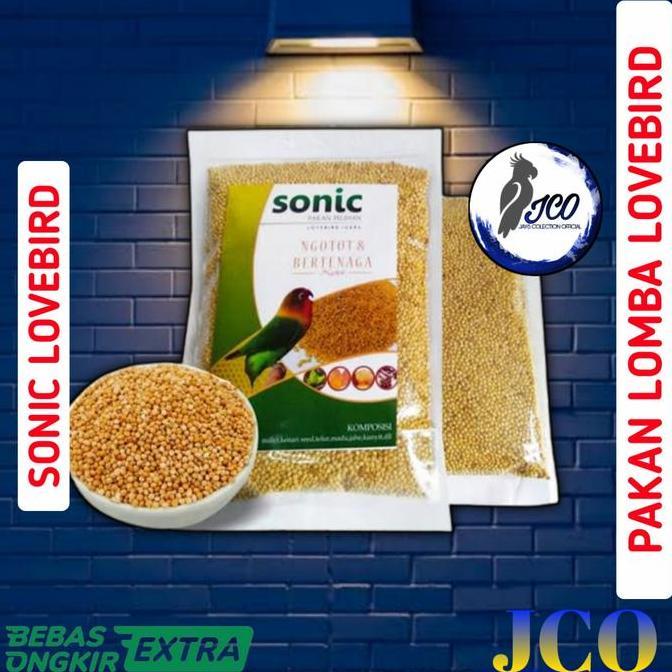 PAKAN LOMBA LOVEBIRD SONIC LOVEBIRD murah