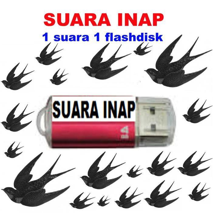 Suara Panggil Burung Walet Dan Cek Lokasi Burung Walet Flashdisk New Stok