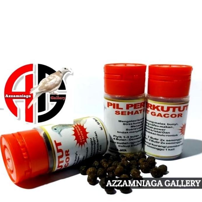PIL PERKUTUT SEHAT GACOR JAMU PERKUTUT EXTRA GINGSENG SARANG WALET murah