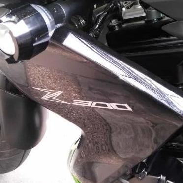 Decal Z250 / Sticker Z250 - Logo Z300