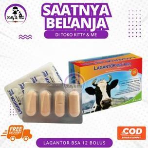 LAGANTOR BSA 12 BOLUS (1BOX KECIL) - Obat Cacing Sapi Bolus Paling Ampuh