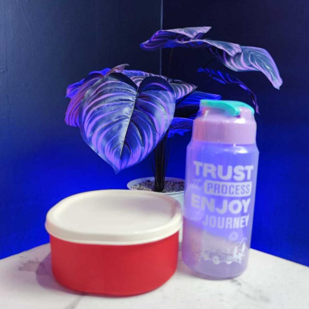 HOT PRODUCT Kotak Makan Mini Kecil Anak 500 ML Lunch Box Wadah Bekal Cemilan Snack Bayi Lucu Tepak+B