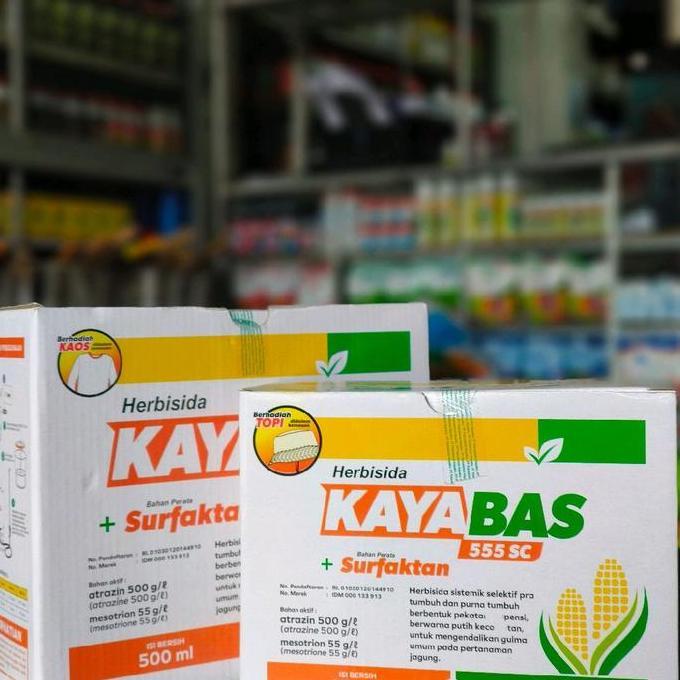 Kayabas 555SC - Herbisida Sistemik Selektif Jagung