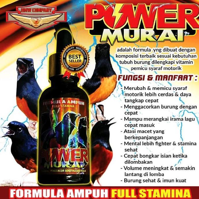 power murai juara suplemen burung muray gacor tanpa jeda