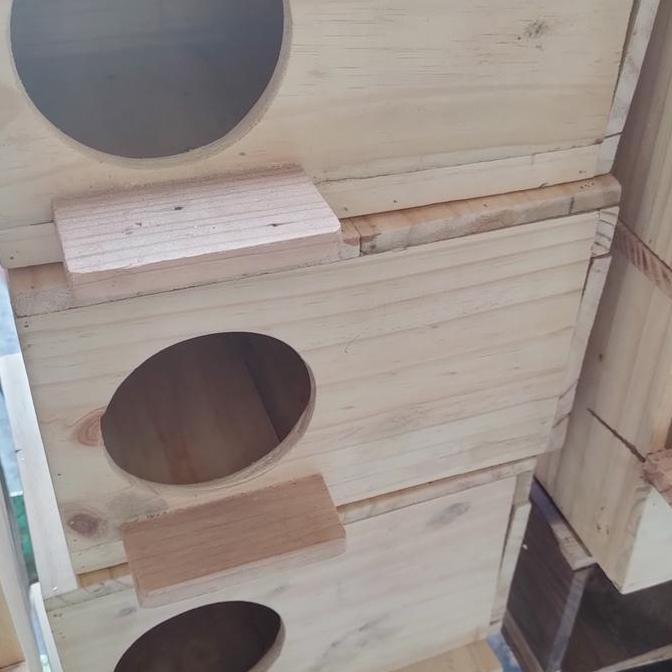 glodok falk australia buat ternak