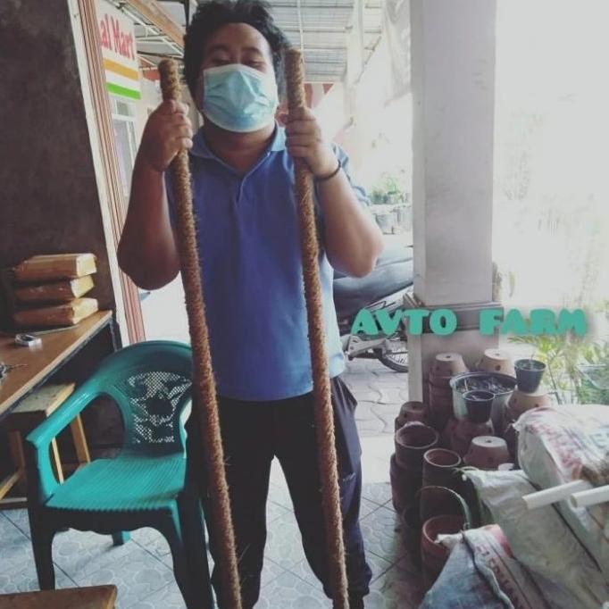 turus tanaman tali sabut 150cm