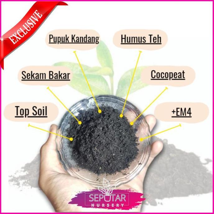 media tanam organik - media organik