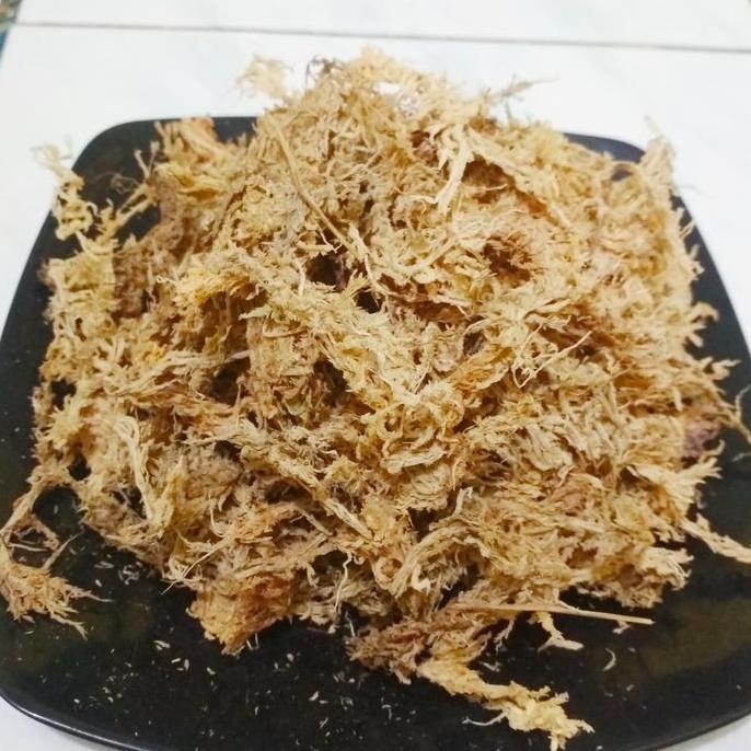 Media spaghnum moss 100 gr sphagnum mos spagnum lumut putih