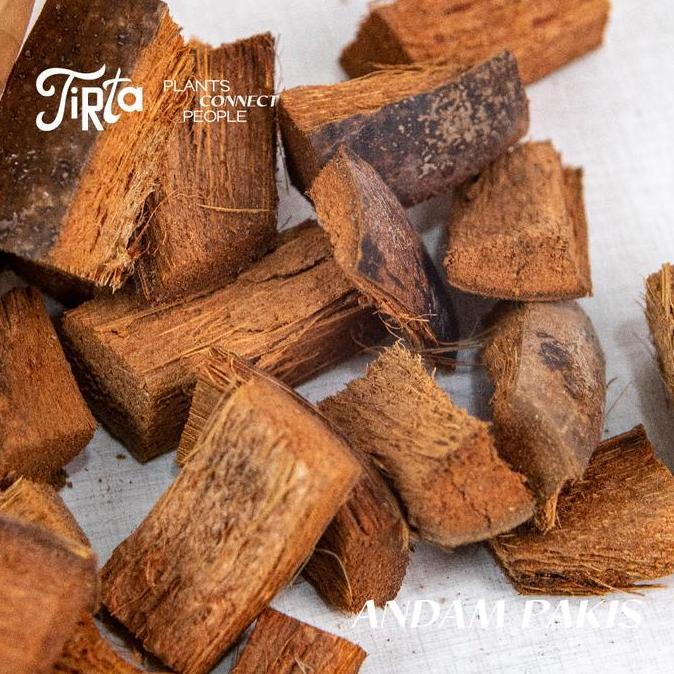 Media Tanam Size L - Coco Chips - Coir Cubes - Coco Husk