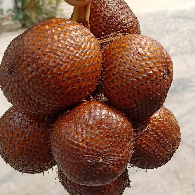 SALAK GULA PASIR ASLI BALI 2KG