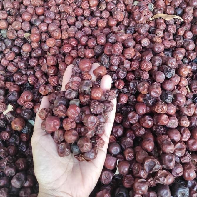 Buah Bidara Arab S Kering Untuk Bibit TBBL21 produk laris