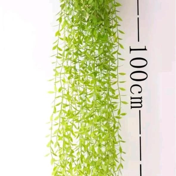 Fiore- Grosir Bunga Jakarta 12Pcs 1 Satu Lusin Daun Plastik Rotan  Hoya Costa Juntai Lee Kwan Yew Ga