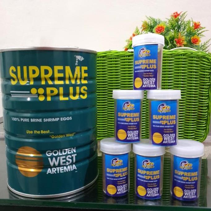 Sakana- Artemia Golden Supreme Plus Repack 10Gr