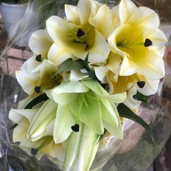 Fiore- Bunga Lili Putih White Lily Fresh Segar Asli 5 Tangkai