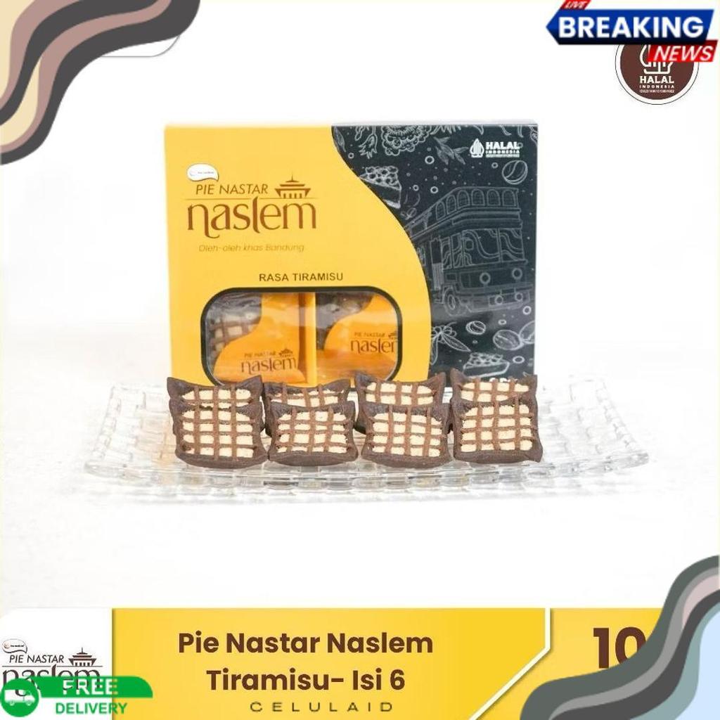 Terlaris Kue Kering Ina Cookies Pie Nastar Lembang Isi 6