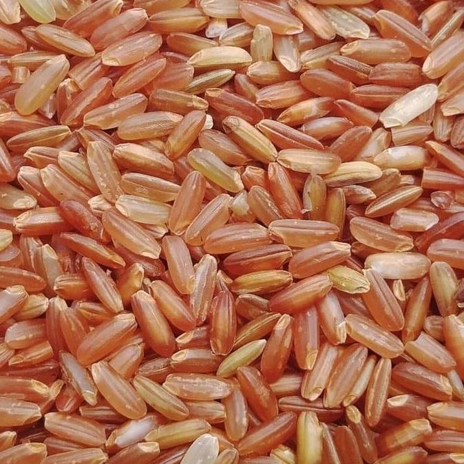 [1 Kg] BERAS MERAH ORGANIK JAWA TENGAH - KAZE RICE