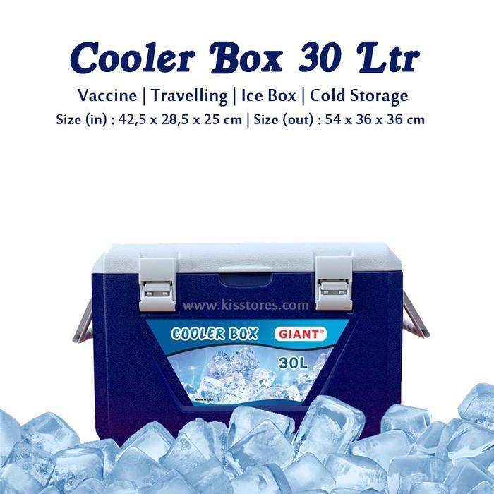 Cooler Box penyimpan minuman dingin 30 Liter 60 liter Box pendingin