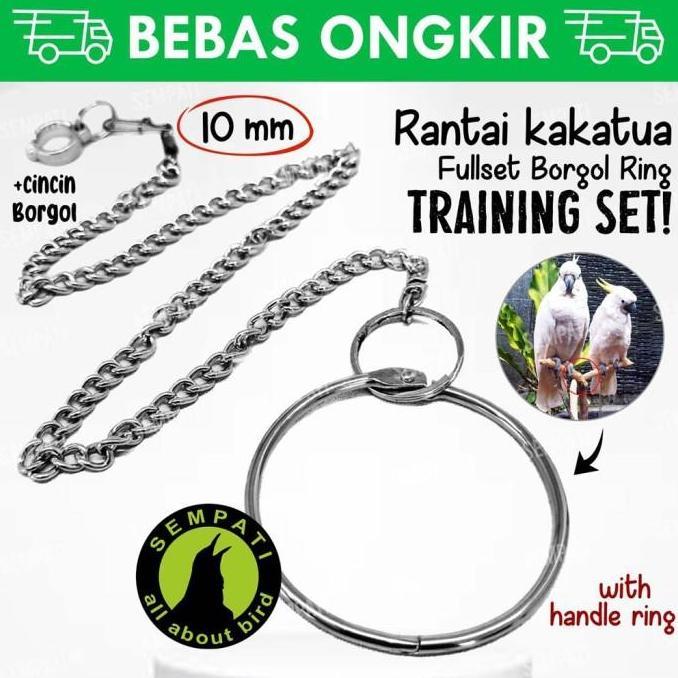STOK TERBATAS - Rantai Burung Kakatua 10mm Fullset Ring Rantai Gelang Kaki Burung Beo Nuri Betet Ran