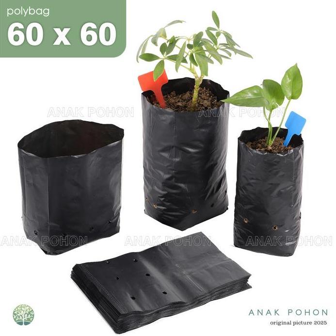 Ready Polybag Polibag Plastik Ukuran 60 x 60 cm - Kualitas Premium Tebal