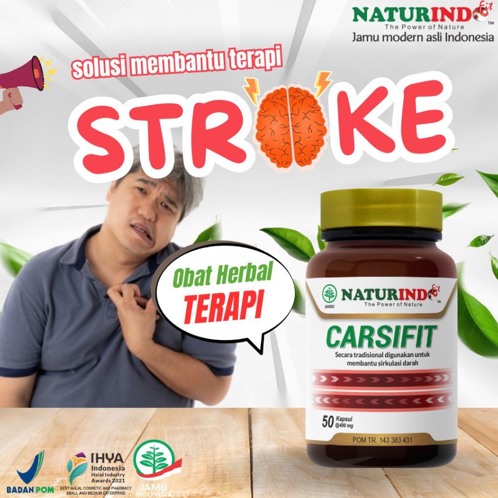 (Terbaru) Obat Stroke Susah Jalan Struk Ringan Berat Bells Palsy Obat Struk Herbal Carsifit Herbal (