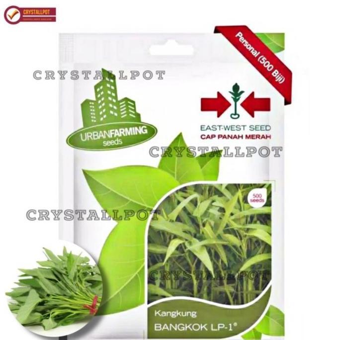 benih bibit kangkung Bangkok LP cap panah merah - KANGKUNG BANGKOK LP