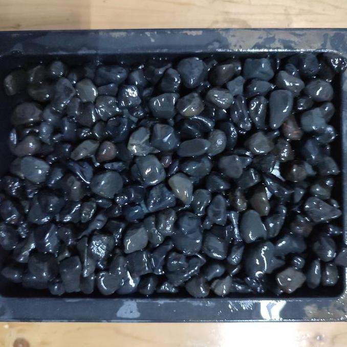 Batu Hitam Alor Bali (Batu Alam Koral Sikat Carport Garasi Lantai Hias Taman Akuarium)