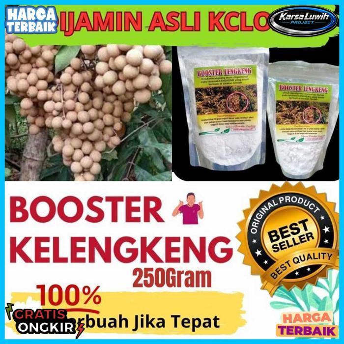 Booster Kelengkeng Cepat Berbuah, Booster Kelengkeng Kclo3 Murni,  Booster Kelengkeng Murni