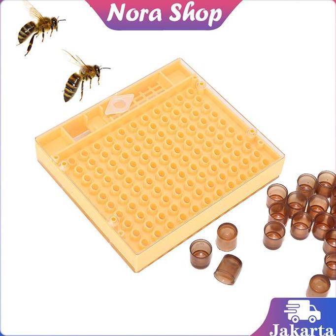 AWAYESH Kotak Budidaya Lebah Madu Alat Ternak Lebah Rumah Kurungan Ratu Lebah Larva Lebah