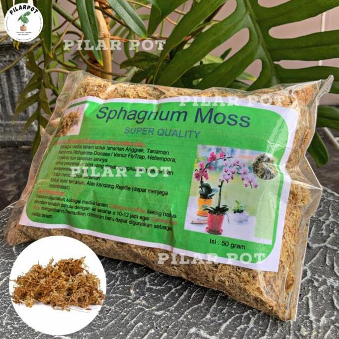 media tanaman bunga anggrek - sphagnum moss