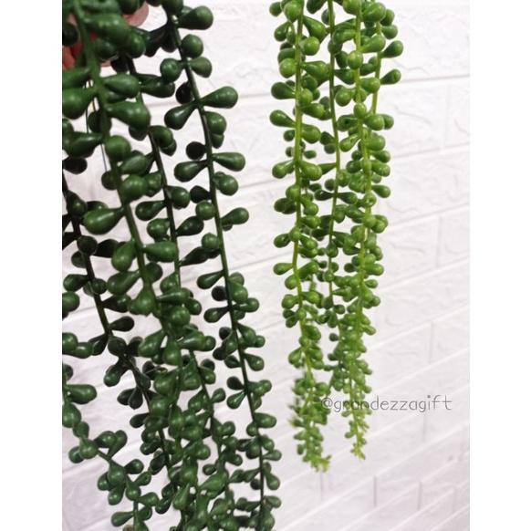 NEW PRODUCT SUKULEN GANTUNG X5 / KAKTUS GANTUNG / STRING OF PEARL / TANAMAN GANTUNG ARTIFICIAL CABAN