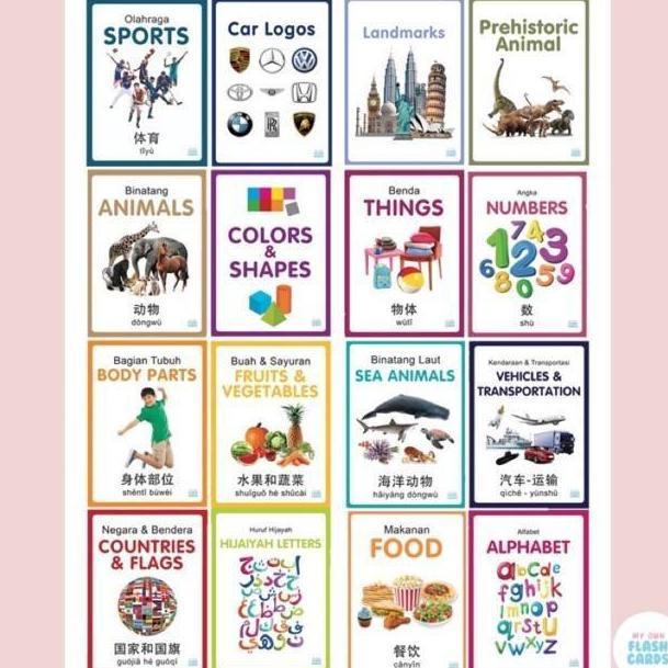 My Own Flashcards 3 bahasa / Flash Card Animal, Body Parts, Kartu Pintar Mainan Edukasi Flashcard An