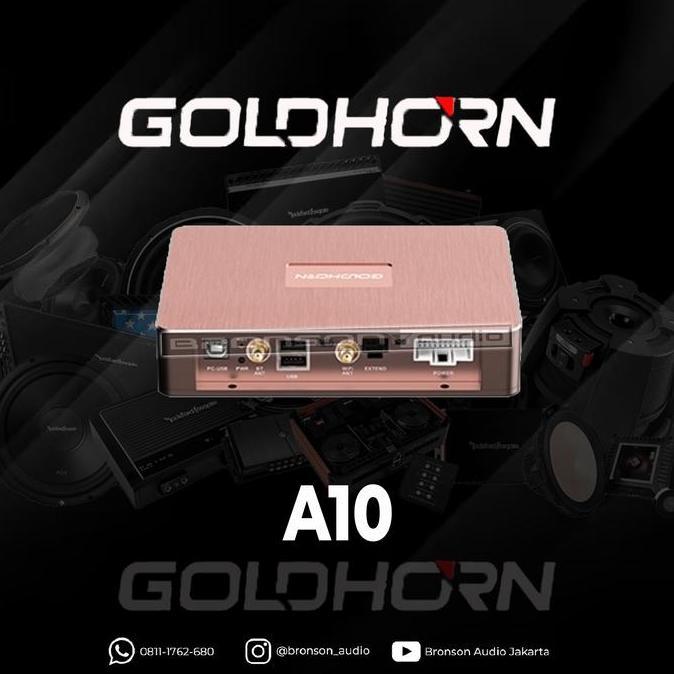 TERMURAH - Dsp Amp Goldhorn A10