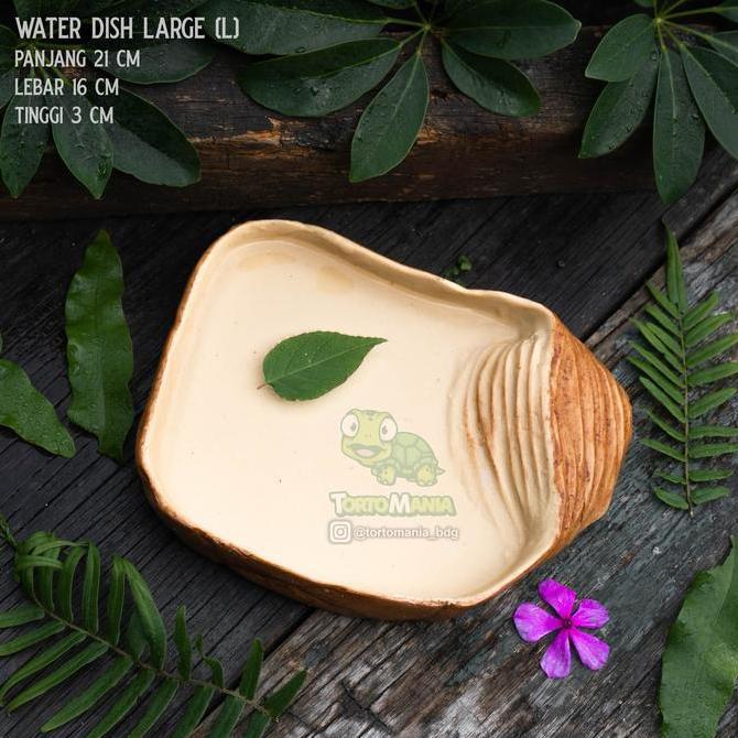 HARGA DISC - waterdish size L (P16cm x L15cm x T2cm) / tempat minum reptil / tempat minum torto kura