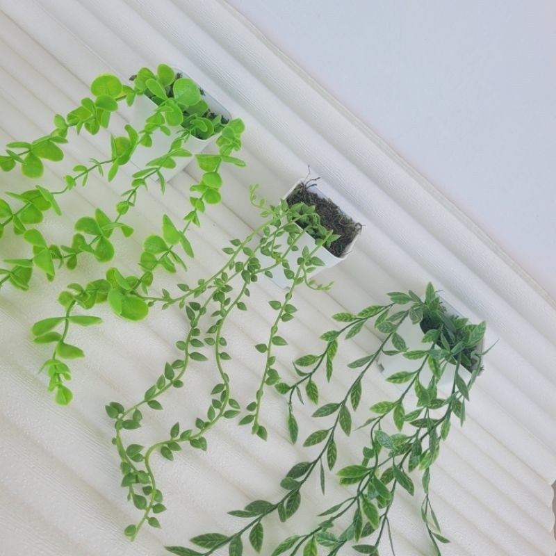 Daun Juntai Plastik + Pot || Daun Juntai Artificial