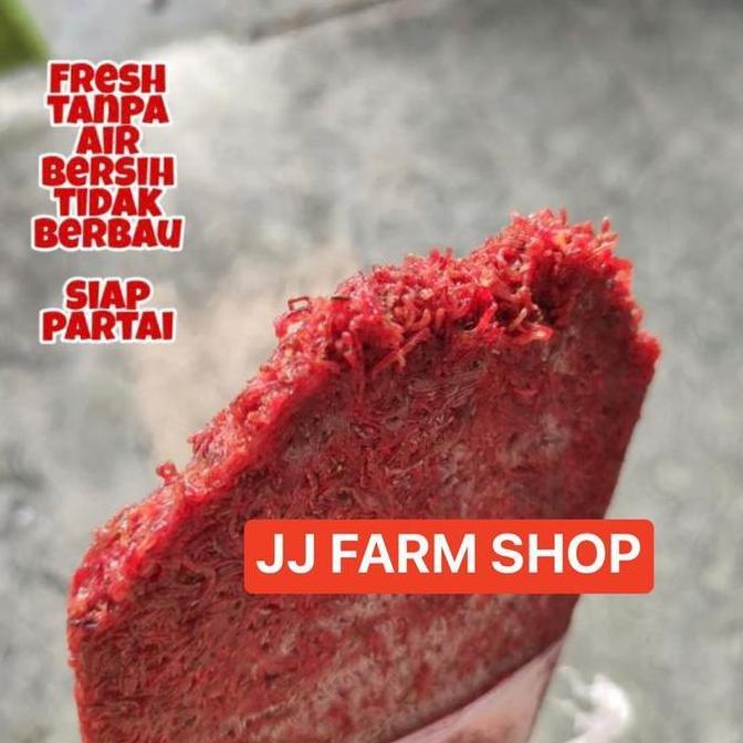 Skyfish- Cacing Beku Lempeng Segar Merah Jamin Kualitas Ok 1Kg 100% Cacing